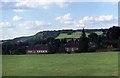 Looking towards Box Hill from Cotmandene