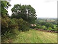 Field below Lodge Farm