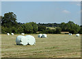 2010 : Silage bales off Hay Lane