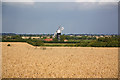 North Leverton cornfields