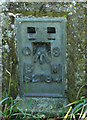 2010 : Flush bracket S2184 on Horningsham trig point