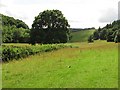 SO4067 : Grassland, Woodhampton by Richard Webb