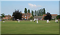 Barton Town Cricket Club Field