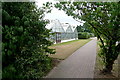 Glasshouses at Brinsbury