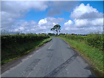 SE7466 : Minor road towards Kirkham by JThomas