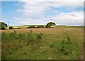 Farmland north-west of Plas Farm, Llangwnnadl