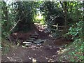 Stepping Stones near Geerlane Farm