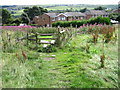 Colne Valley Circular Walk footpath