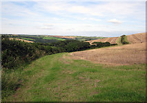 SS2111 : Looking towards the Coombe Valley by Peter Kazmierczak