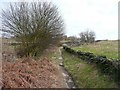 Cold Royd Lane, Dalton