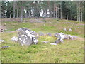 NH6375 : Remains of a chambered cairn in wood near Strathy by John Ferguson