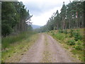 NH6375 : Forest road near Strathy by John Ferguson