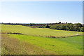 Fields and eskers near Easter Lochend Farm