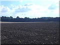 Farmland off Welham Road, Norton