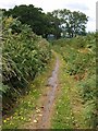 Green lane below East Hill