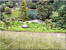 SW7727 : Glendurgan Garden by David Dixon