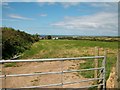 SH2033 : Ty'n y lon viewed across pasture land from Lon 'Reglwys by Eric Jones