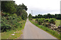 Minor road at Ord Muir