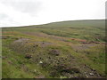 NY7945 : Moorland and Old Mine Workings near Coalcleugh by Les Hull