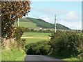 The Mynydd Cefnamwlch forest from Lon 