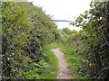 Cliff Path Mawnan to Maenporth.