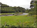 Lake, Maenporth Estate