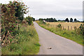 Road through North Drynie Park