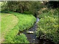 Downstream Aldbrough Beck