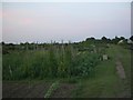 Cote, allotments