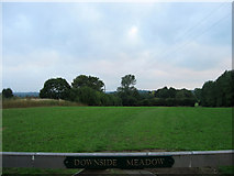 TQ2511 : Downside Meadow by Simon Carey