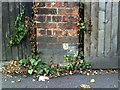 Benchmark  on gatepost of #115 Banbury Road