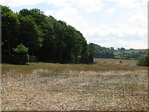 ST6061 : Stubble field by Round Hill by Sarah Charlesworth