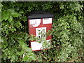 Dog Faeces Bin by the Bridge Off Pitcher Walk (Fairford Leys)