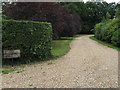 Driveway to Old Foxhunt Manor