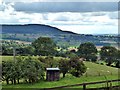 Shed in Field by Ruebury Lane, Osmotherley