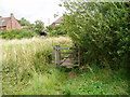 Gate and footbridge on Sussex Border Path