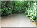 River Blackwater, Plaitford