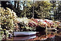 The pond, Lukesland gardens near Ivybridge