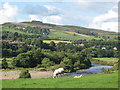 NY7663 : The valley of the River South Tyne near Redburn and Tow House by Mike Quinn