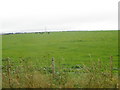 NC9866 : Cattle field Lower Dounreay by John Ferguson