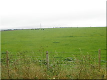 NC9866 : Cattle field Lower Dounreay by John Ferguson