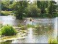R6461 : Bathers by the Shannon at Doonass by David Hawgood