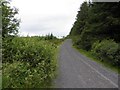 H2373 : Forest road, Lough Bradan Forest by Kenneth  Allen