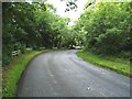 Treelined Roadway (A711) down Balmangan Glen.