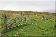 NH5192 : Fence marking the moorland edge near Wester Gruinards by Steven Brown