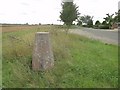 Trig Point at Tibenham