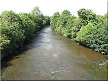 R6457 : Mulkear River  at Annacotty by David Hawgood