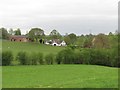 SO6370 : Grassland, Knighton on Teme by Richard Webb
