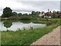 Pond at Dunsfold Green north end of Dunsfold