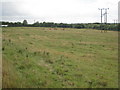 SE9307 : Site of Raventhorpe by Jonathan Thacker